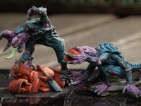 space hulk  (8 of 8)